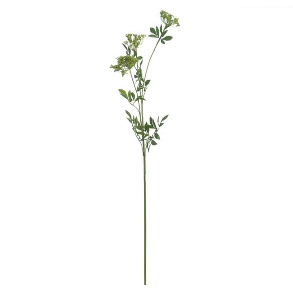 Wyld Haus Set of 3 Artificial Flowers Faux Cow Parsley Ammi Stem