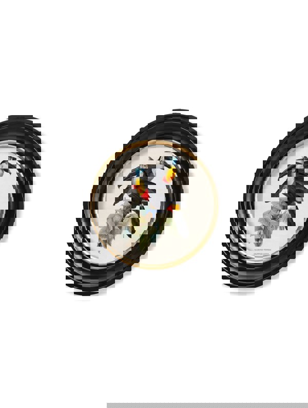 Exceptional Art c.1848 Toucans - Round Frames