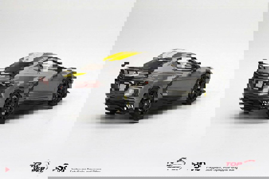 TSM Chevrolet Corvette Stingray IMSA GTLM Championship Hypersonic Grey 1:18 TSM TS0390