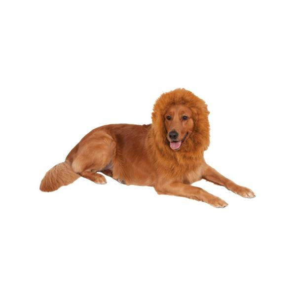 Bristol Novelty Lion´s Mane Dog Costume - Brown - 