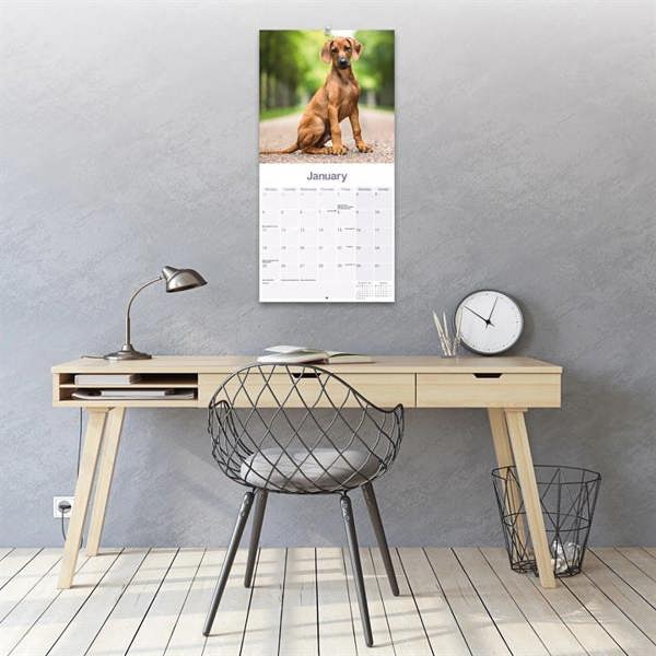 Rhodesian Ridgeback Calendar 2027, Wall Calendars, Month To View, Dogs, Gift