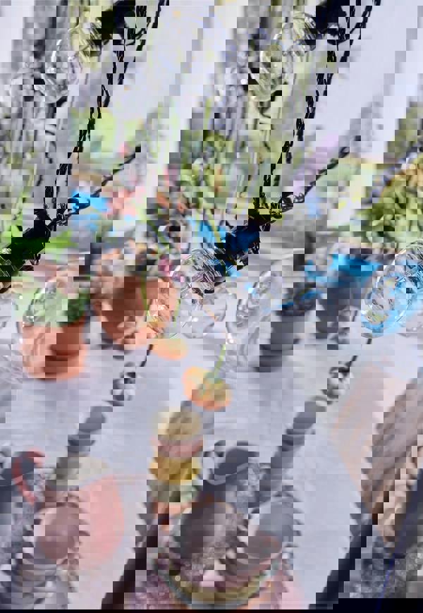 Luxform Fiji 20 Bulb String Light Set & Timer