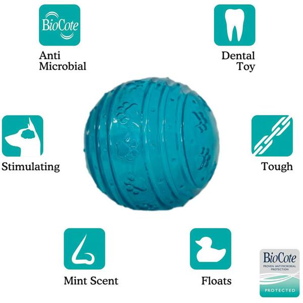Rosewood BioSafe Ball Toy for Small Dogs