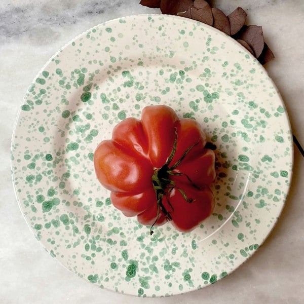 Hot Pottery Dinner Plate Pistachio