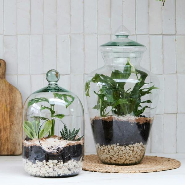 Ivyline Glass Bell Jar Open Terrarium