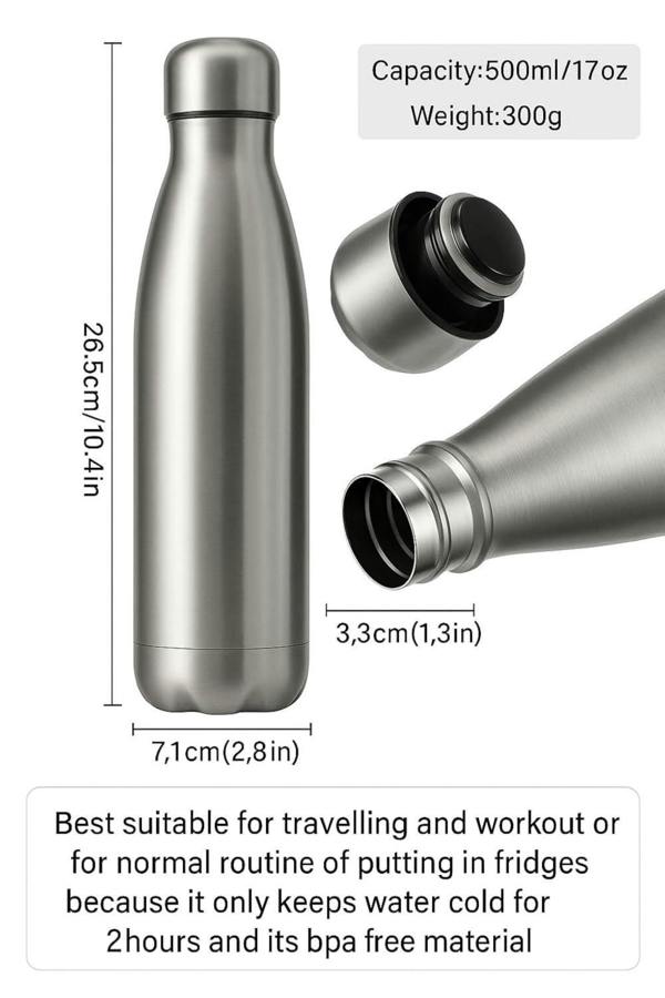 Dyzi 500ml Stainless Steel Water Bottle Leak Proof BPA Free Silver