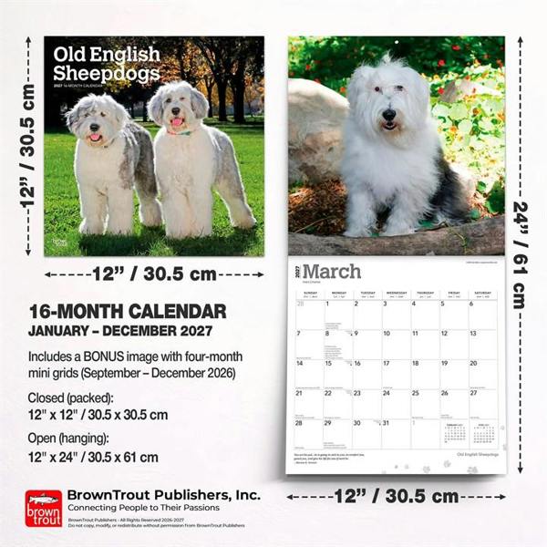 Old English Sheepdogs Calendar 2027, Wall Calendars, Month To View, Dogs, Gift