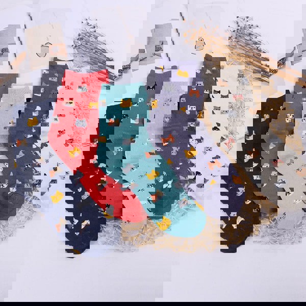 Anyfootwear 5 Pairs One Size 5-9 Mixed Colors No Show Thin Invisible Fashion Socks With Summer High Quality Ankle Solid Color Breathable Socks