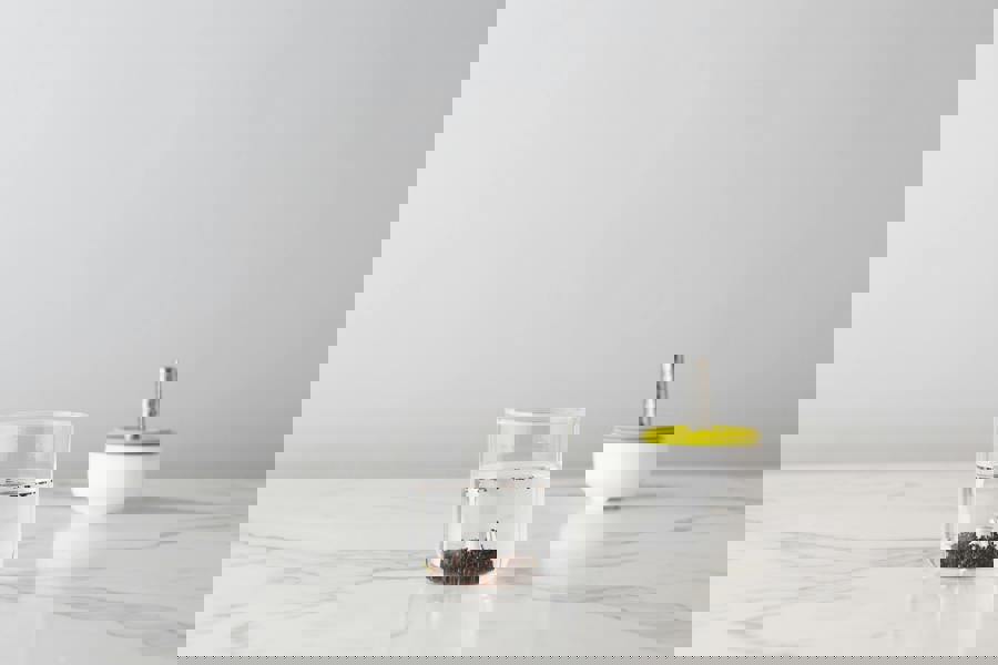 Chef'n Countertop Sprouter™ Growing Kit