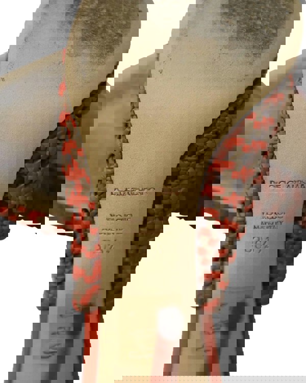 162586956.jpg