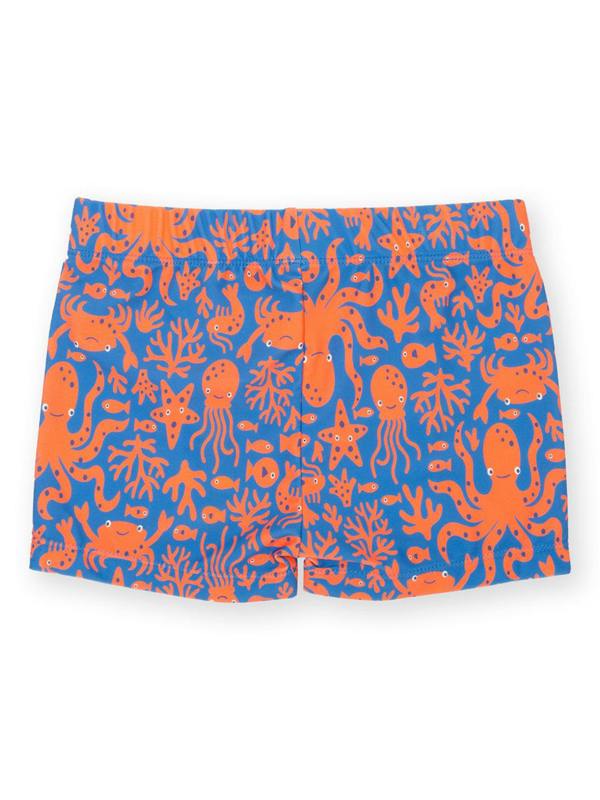 Kite Boys Reef Time Swim Trunks