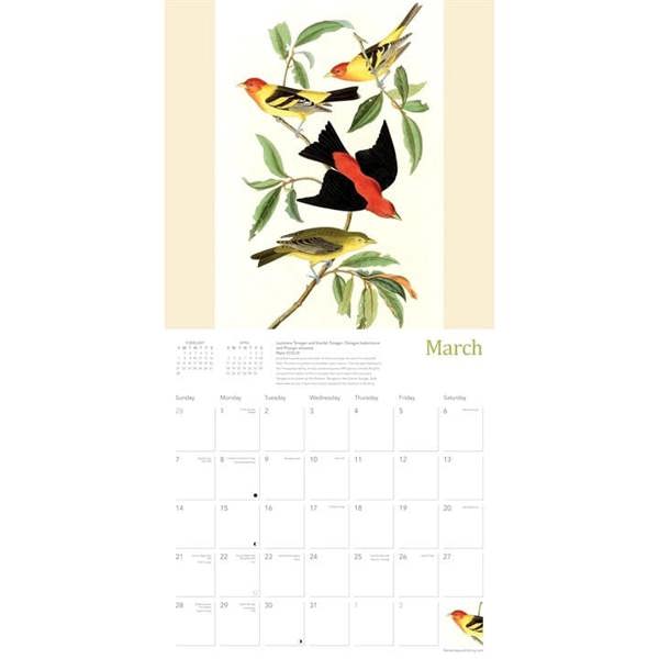 Audubon Birds, The Fitzwilliam Museum Cambridge Calendar 2027, Wall Calendars, Month To View, Animals, Gift