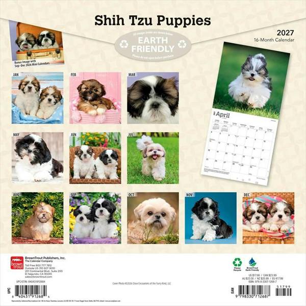 Shih Tzu Puppies Calendar 2027, Wall Calendars, Month To View, Dogs, Gift
