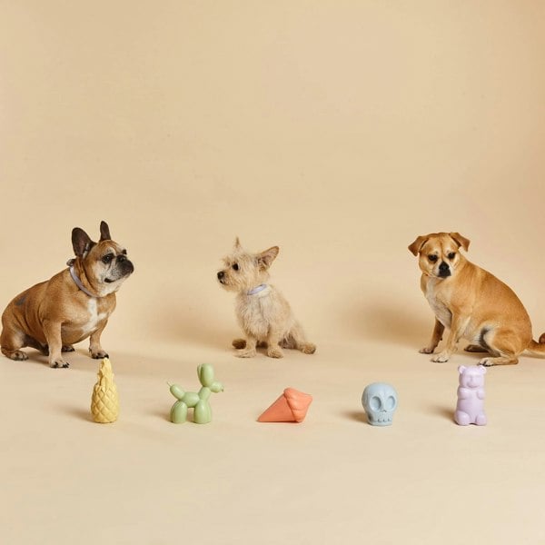 Dogs Sit With Barc London Squeaker Collection