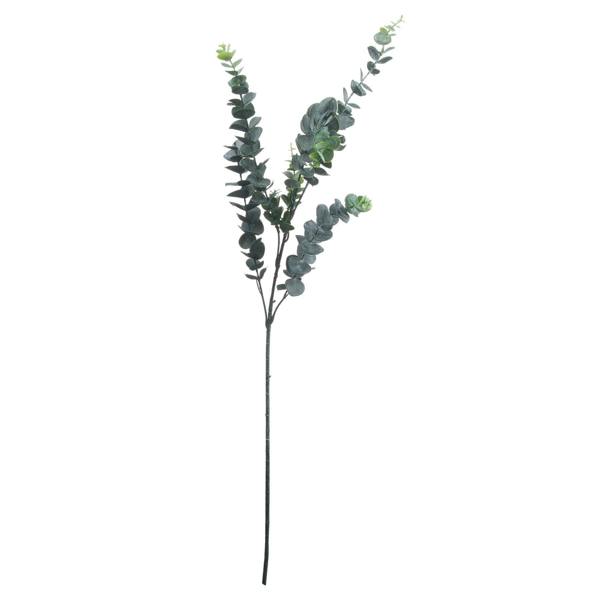 Wyld Haus Set of 3 Artificial Flowers Silver Dollar Eucalyptus Stems