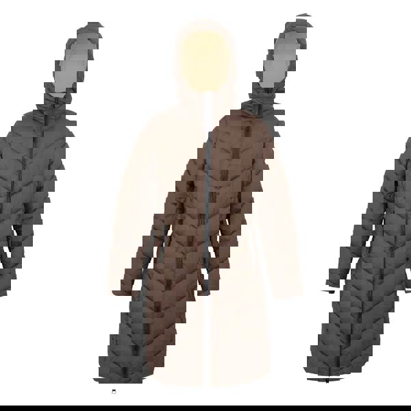 Regatta Womens/Ladies Andia II Contrast Zip Jacket - Bueno Brown