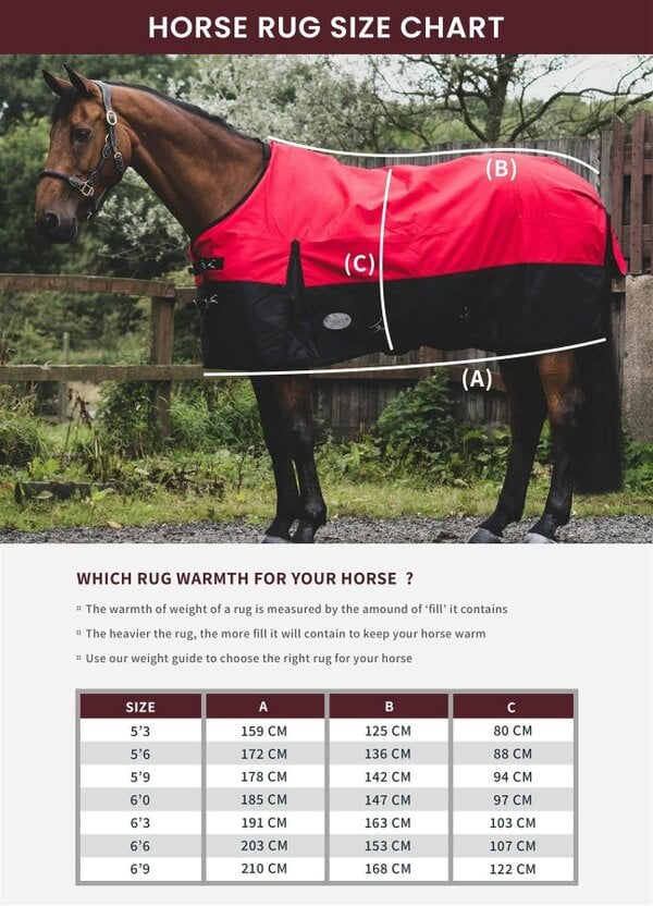 eQuitack 600D Outdoor Winter Mediumweight Waterproof Horse Turnout Rug 50g Fill Regular Neck Double Buckle Lavender/Purple