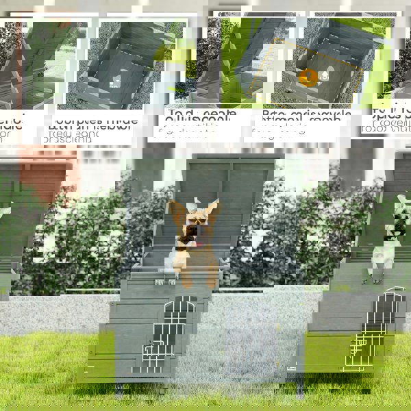 D02-044V01CG