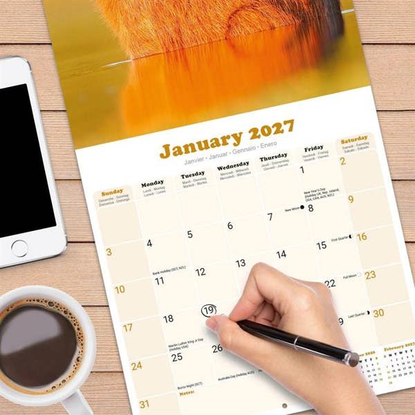 Capybara Calendar 2027, Wall Calendars, Month To View, Animals, Gift