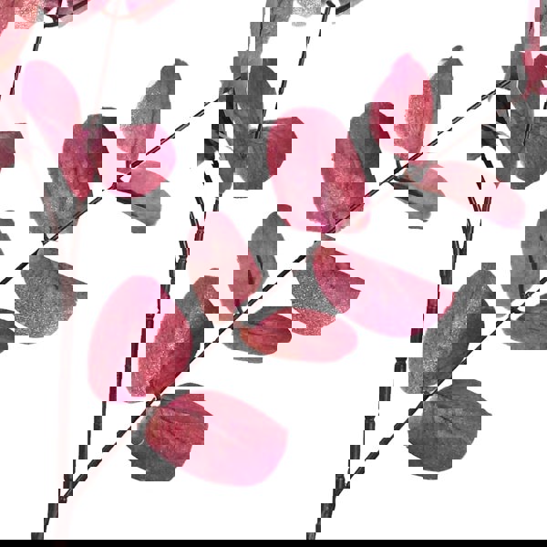 Leaf 80cm Pink Eucalyptus Foliage Stem