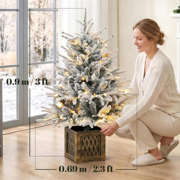 Christmas Tree with Lights