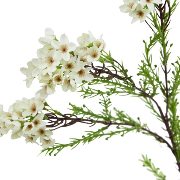 Wyld Haus Set of 3 Artificial Flowers White Waxflower Stems