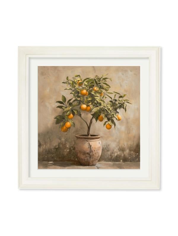 Exceptional Art Mediterranean Orange Tree - Cream Hurstwood square frame