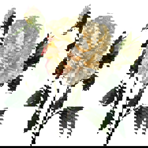 Leaf 6 x 60cm Peony Artificial Flower Cream - 6 flowers 18 buds