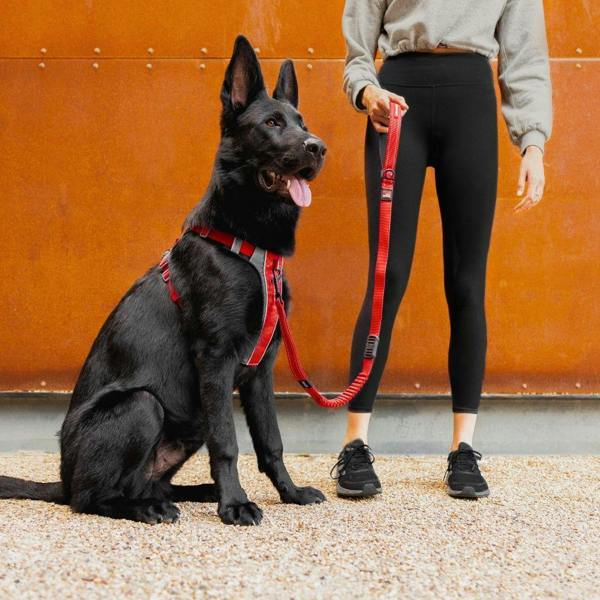 EzyDog X-Link Dog Harness in Red