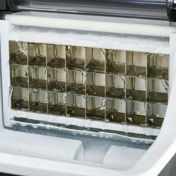 Ice maker interior with clear ice chamber and metal evaporator plate with cube molds