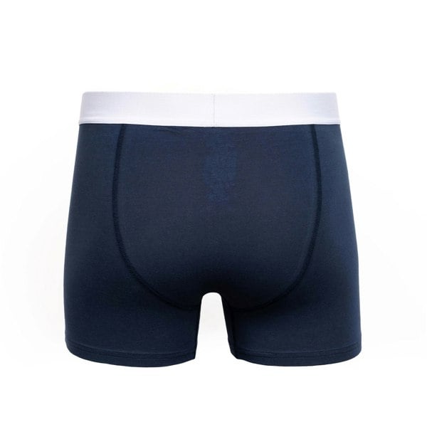 Duck and Cover Mens Galton Boxer Shorts (Pack of 2) - Green/Blue