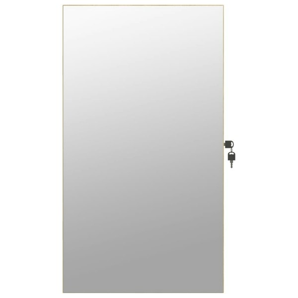 Berkfield Mirror Jewellery Cabinet with LED Lights Wall Mounted