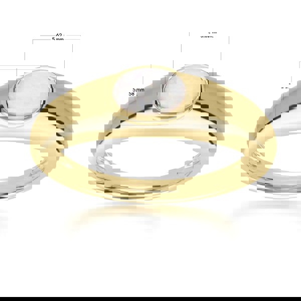 270R065201925 Modern Classic Oval Opal Ring in 18ct Gold Plated Silver 4