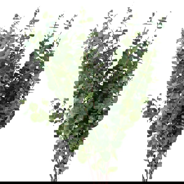 Leaf Pack of 6 x 100cm Artificial Eucalyptus Foliage