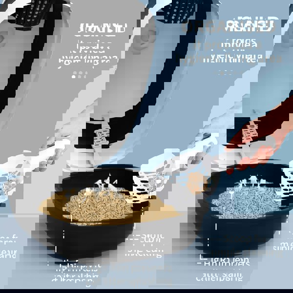 D31-066V00BK