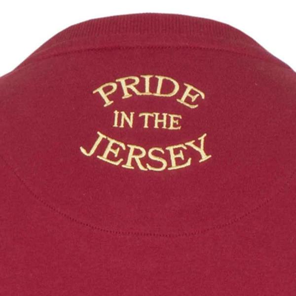 british-isles-1930-rugby-t-shirt-red-lions-neck