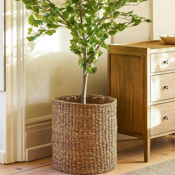 Large 48cm handwoven seagrass planter holding a leafy green indoor tree next to a wooden chest of drawers.