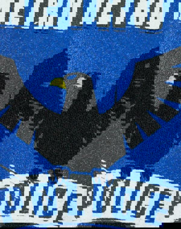 DC Comics Mens Blue Arrow Hoodie