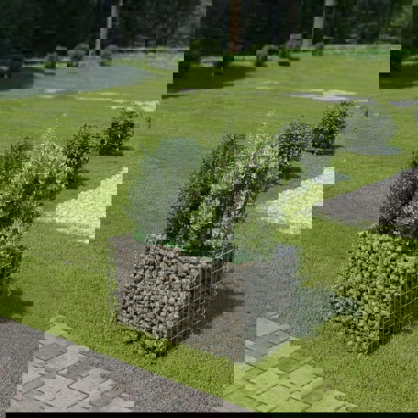 Berkfield Gabion Raised Bed Galvanised Steel 90x50x50 cm
