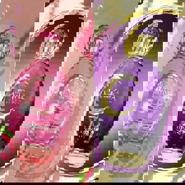 Anfar 1950 Alba Pour Femme 100ml fragrance notes chart