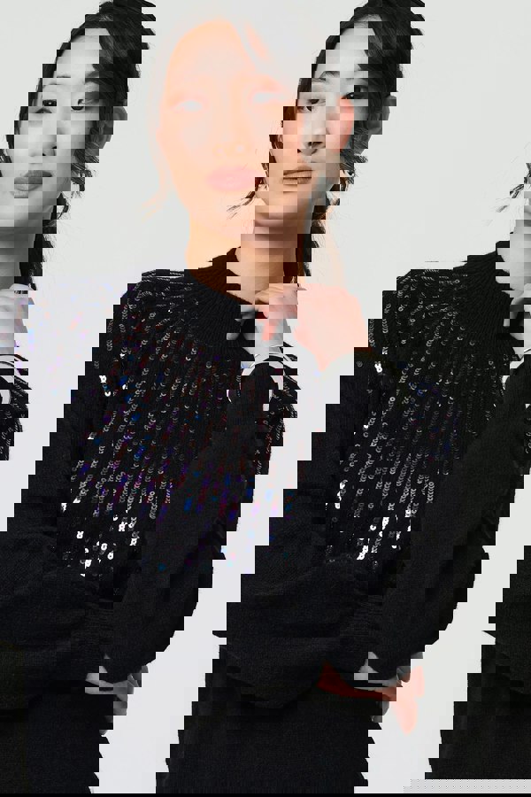 Black | Sequin Stripe Long Sleeve Knit Mini Dress
