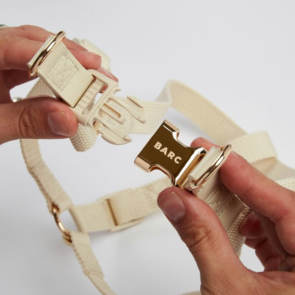 Cream Dog Harness with Gold 