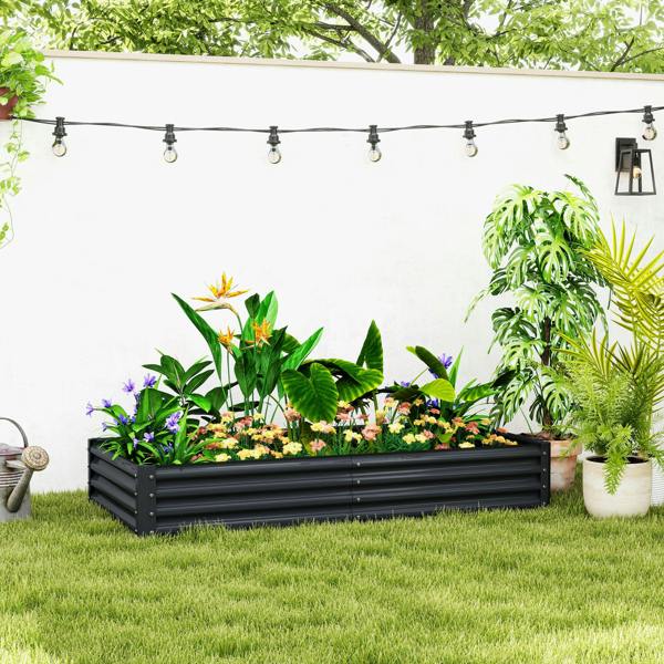 Garden Bed
