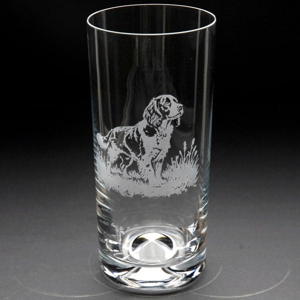 Glyptic Glass Art Springer Spaniel Dog Highball Glass - Hand Etched/Engraved Gift