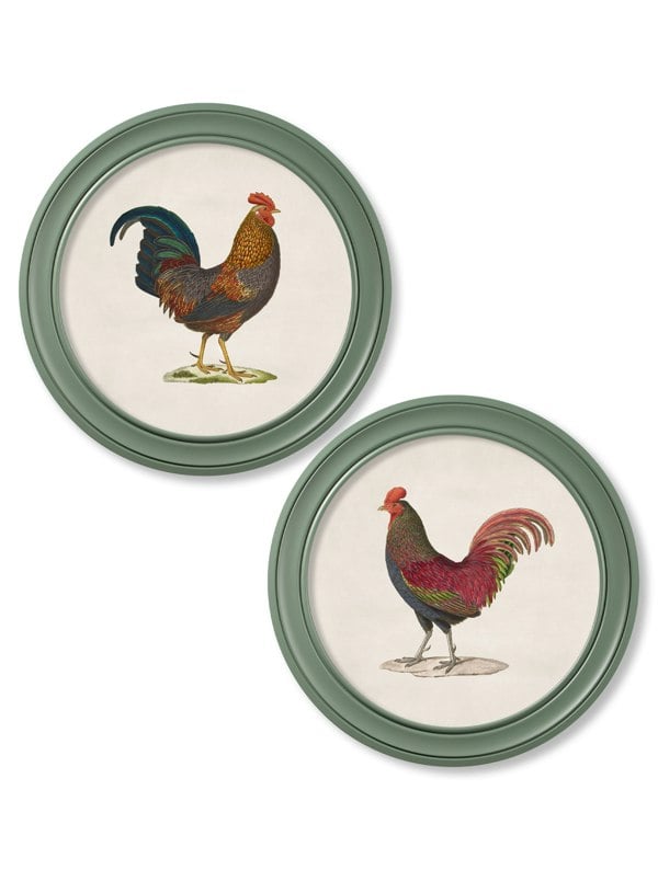 Exceptional Art c.1838 Junglefowl in Round Frames Green