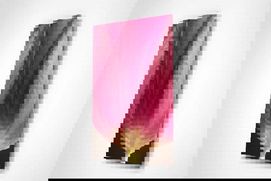 tulip flower mounted print