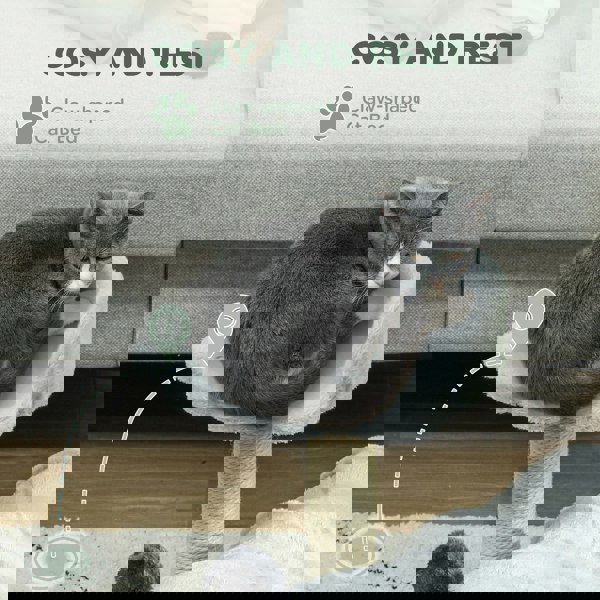 D30-823V00GY