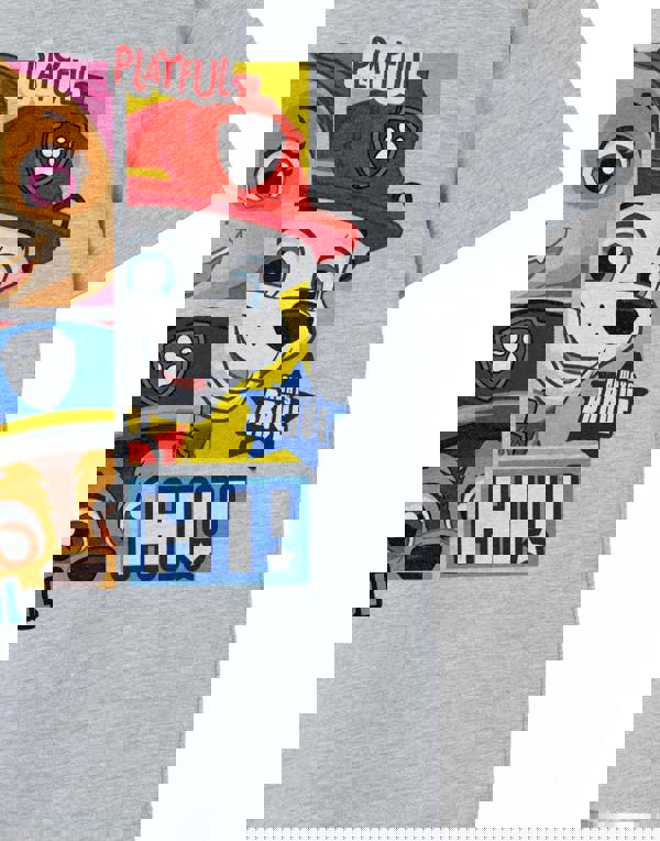 Paw Patrol Boys Grey Peekaboo Short Sleeved T-Shirt