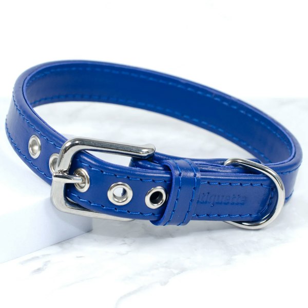 Signal Blue leather dog collar - Petiquette Collars