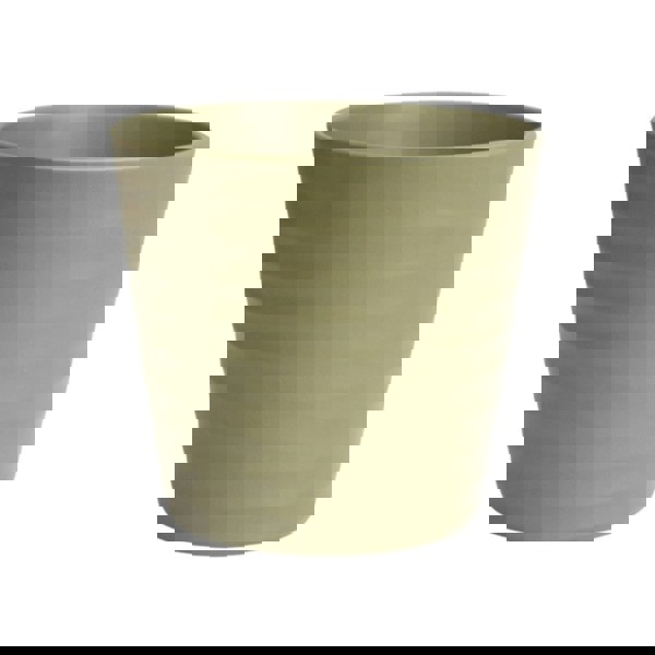 #color_olive